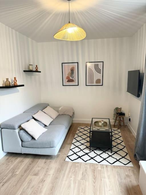 Appartement Eloi - 1 Chambre Mont-de-Marsan Eksteriør billede